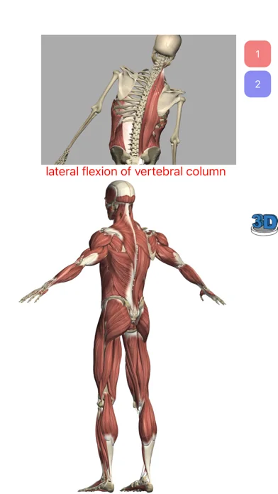Visual Anatomy Lite screenshot 3
