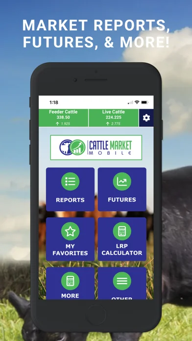 Cattle Market Mobile screenshot 1