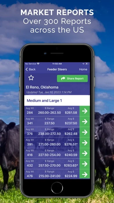 Cattle Market Mobile screenshot 2