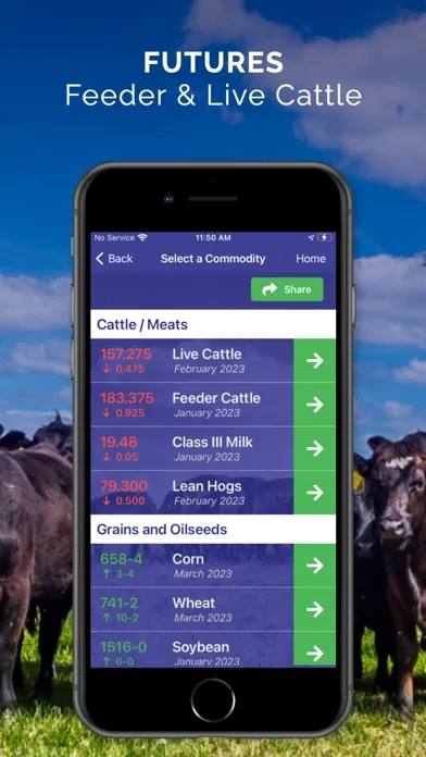 Cattle Market Mobile screenshot 3
