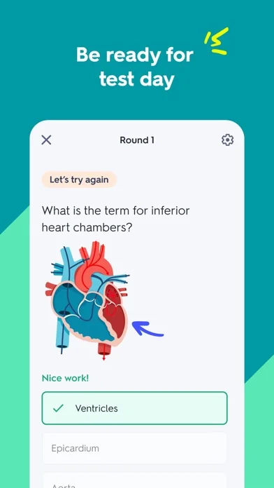 Quizlet: More than Flashcards screenshot 4