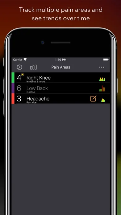Pain Logger