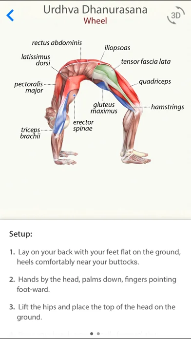 3D Yoga Anatomy