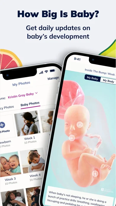 The Bump: Baby & Pregnancy App screenshot 2