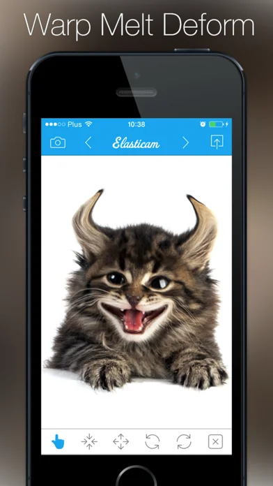 Elasticam