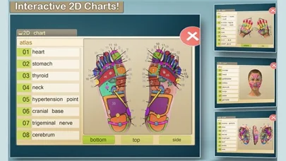 Total Reflexology-3D