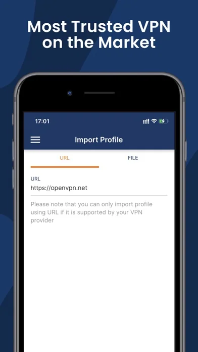 OpenVPN Connect