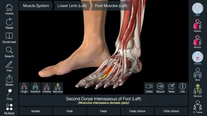 Essential Anatomy 5 screenshot 4