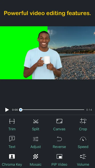 Perfect Video Pro screenshot 1