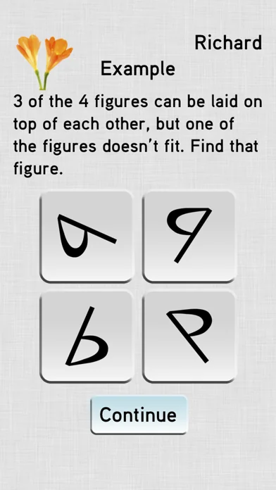 IQ Test Kompakt