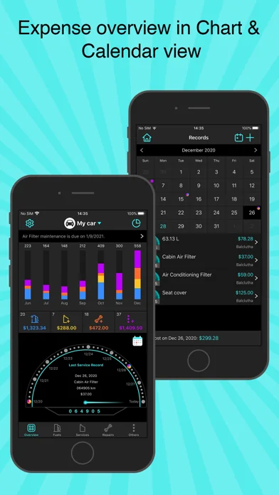 Fuel Monitor Pro screenshot 1