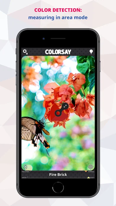 ColorSay • Farbscanner