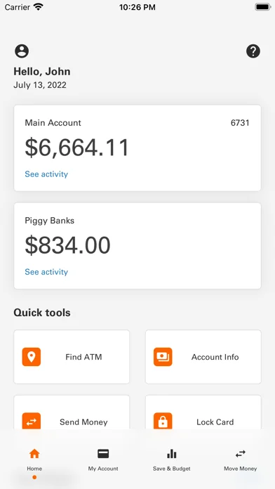 Money Network Mobile App screenshot 2