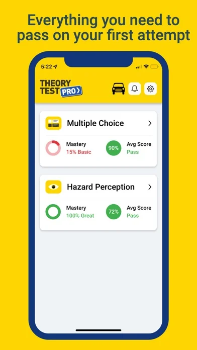 Theory Test Pro