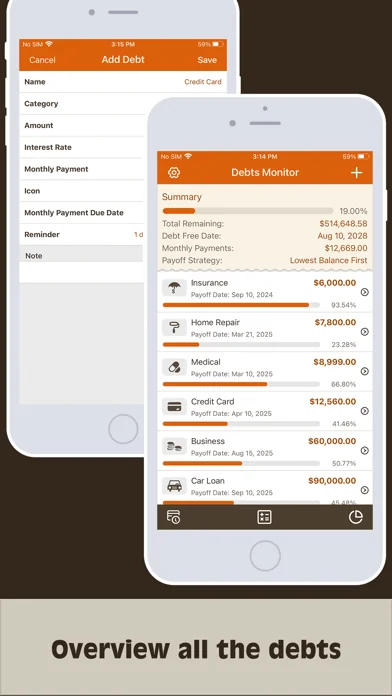 Debts Monitor Pro