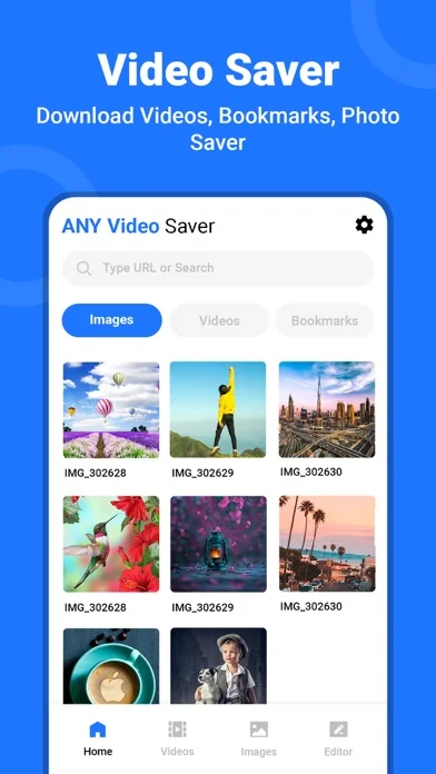 All Video Saver screenshot 1