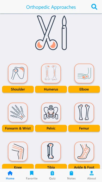 Orthopedic Surgery Approaches