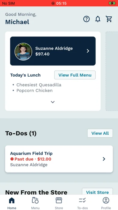 LINQ Connect
