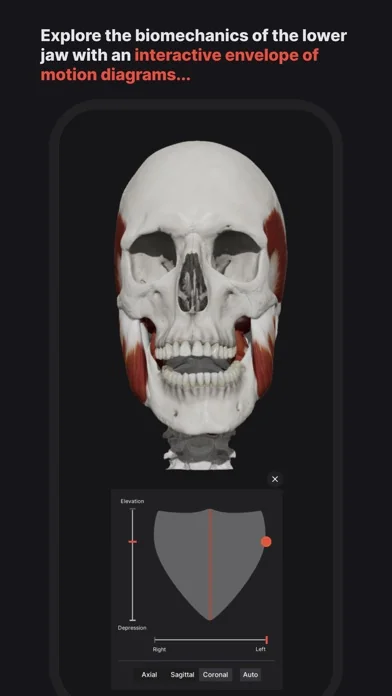 Skull, Teeth & TMJ