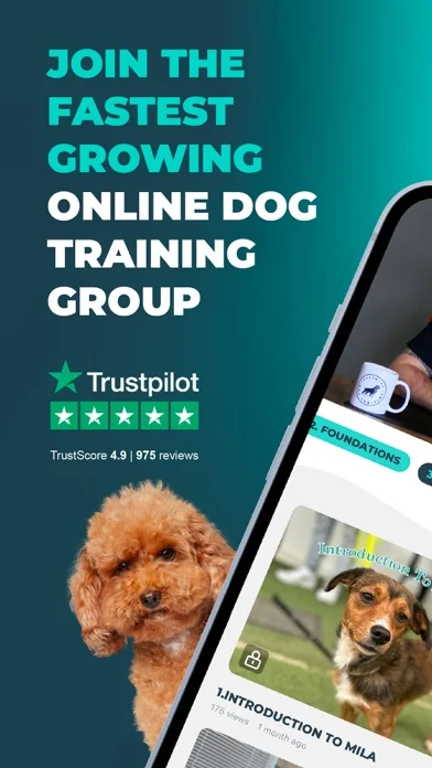 Southend Dog Training