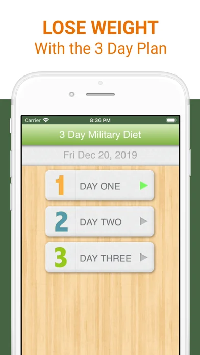 3 Day Military Diet