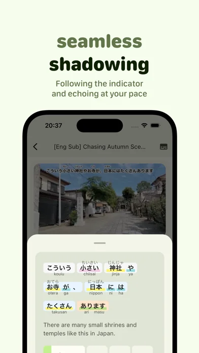 Miraa - AI transcribe & shadow screenshot 2