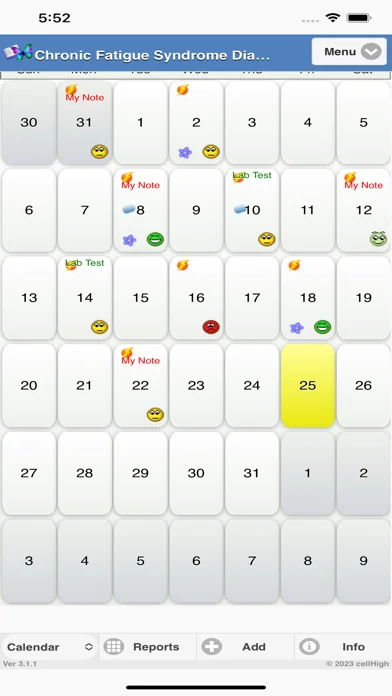 Chronic Fatigue Diary 3