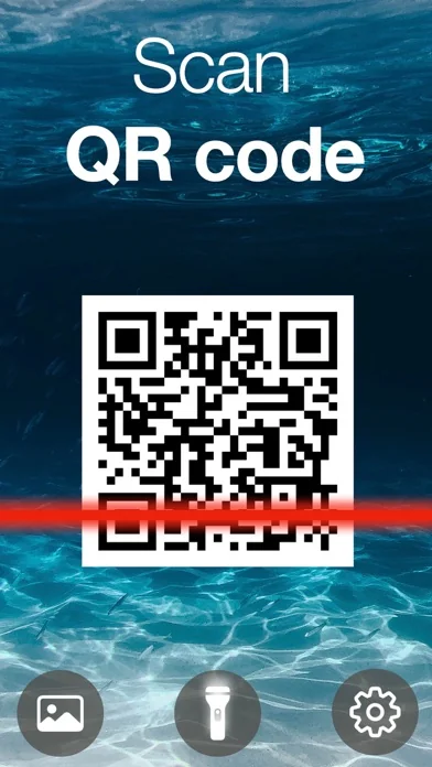 Scan QR Code & Barcode