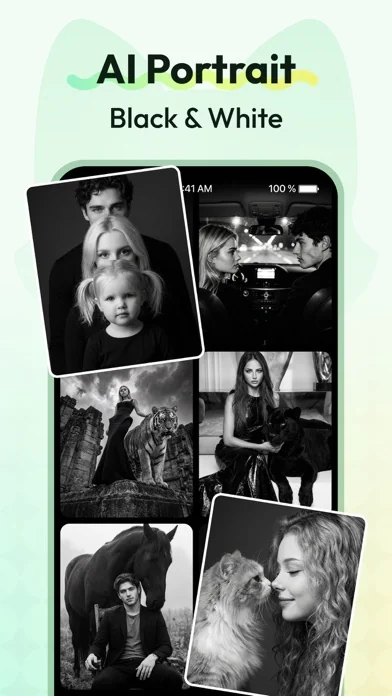 VidFox: Al Video&lmage Maker
