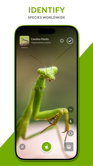 iNaturalist