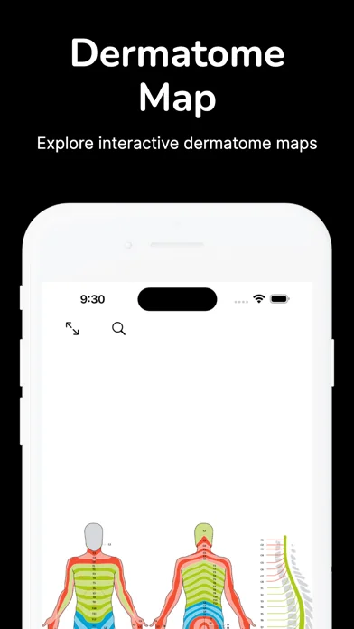 Dermatome Map and Tuning Fork
