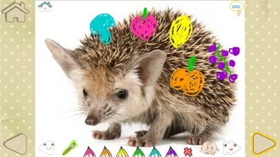 Развивашки! Игры для малышей!