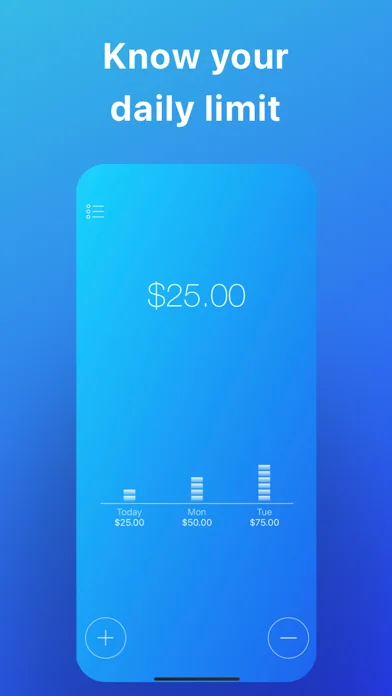 Daily Budget Original
