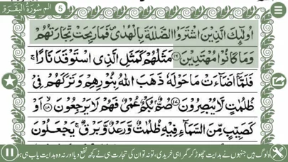 Holy Quran (15 Lines Printed Pages and Urdu Audio Translation) screenshot 1