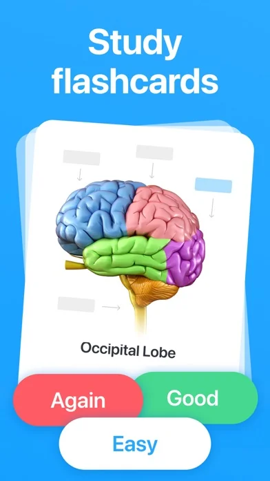 Cogni: Anki Karteikarten