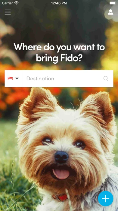 BringFido