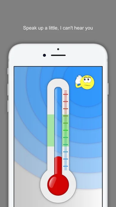 Voice Meter Pro