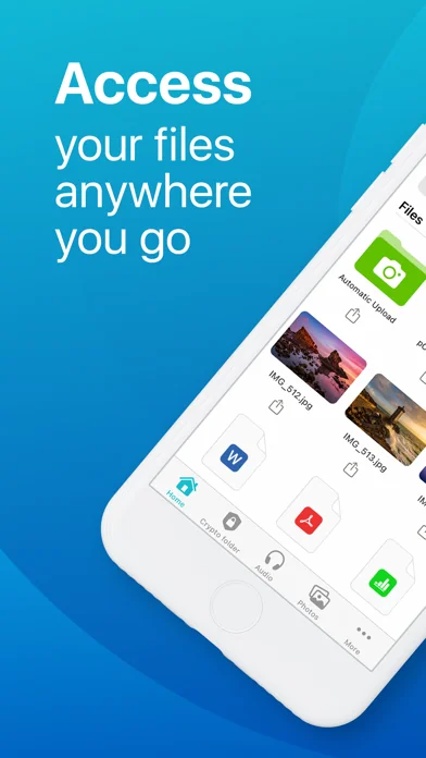 pCloud - Cloud Storage