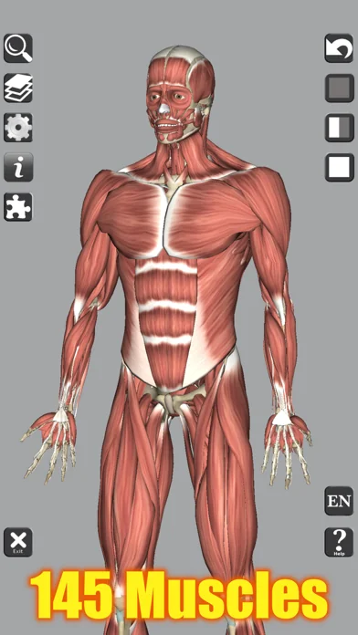 3D Anatomy Learning