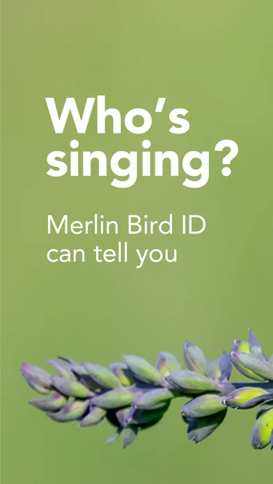 Merlin Bird ID by Cornell Lab