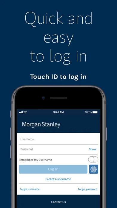 Morgan Stanley Wealth Mgmt