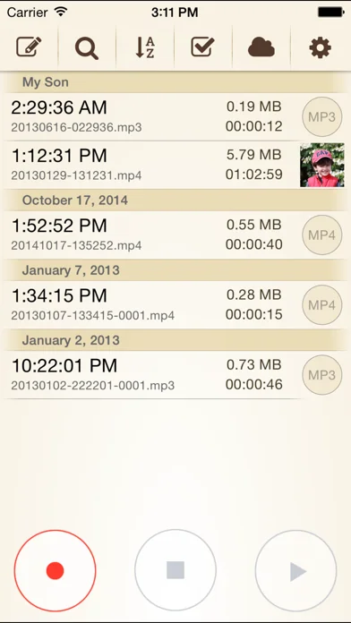 Voice Record Pro 7 Full screenshot 3