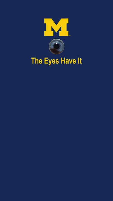 EyesHaveIt