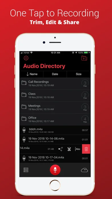 Voice Recorder Plus Pro screenshot 2