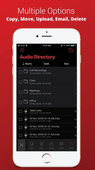 Voice Recorder Plus Pro screenshot 3