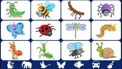 Video Touch: Insects & Friends