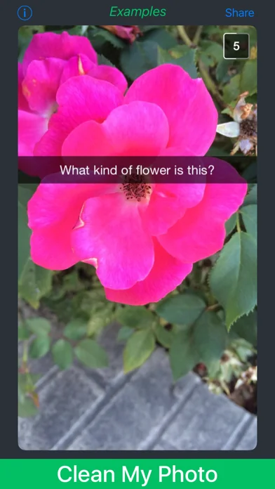 Caption Remover for Snapchat* screenshot 1