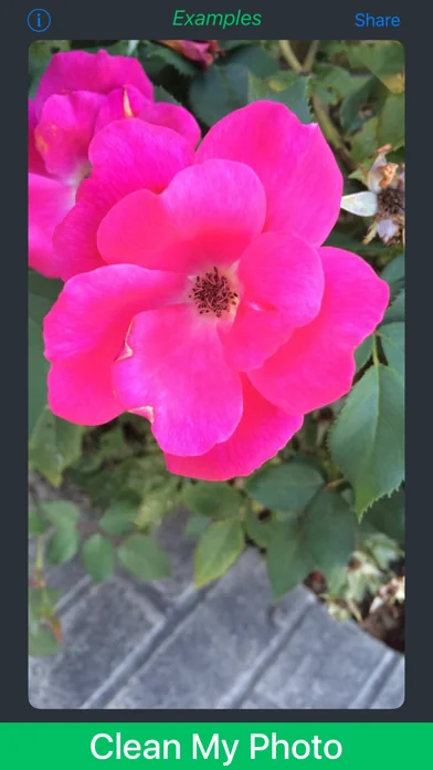 Caption Remover for Snapchat* screenshot 2