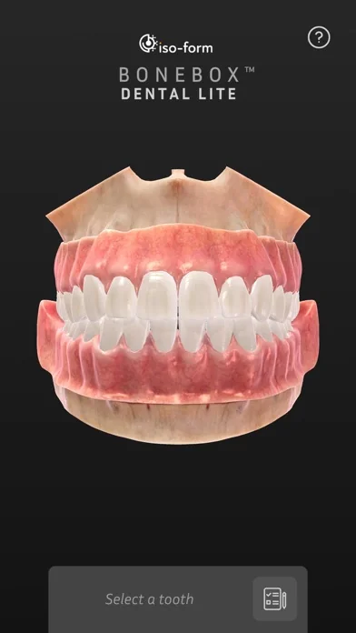 BoneBox™ - Dental Lite