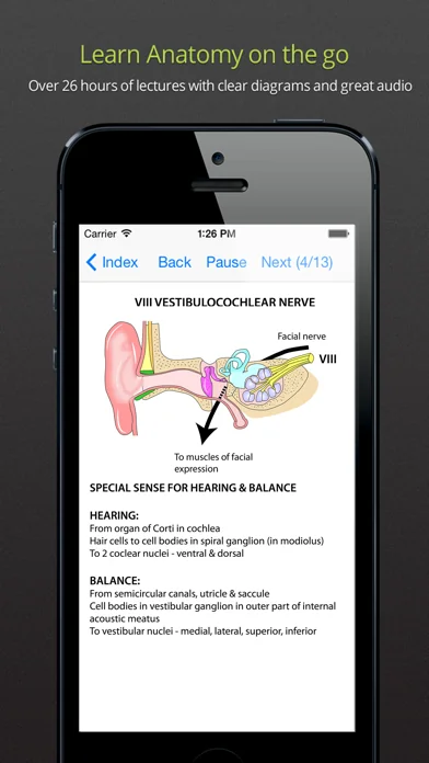 Instant Anatomy Anthology
